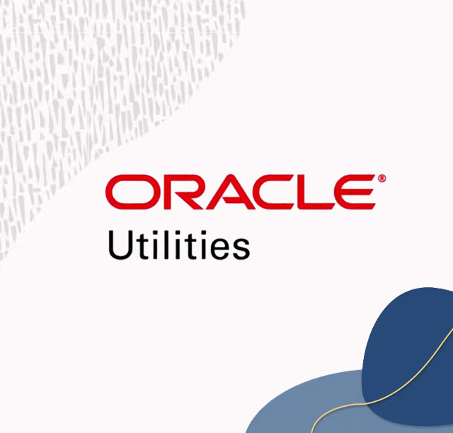 Oracle Utility Solutions | No-Code Utility Management Software | AOTS